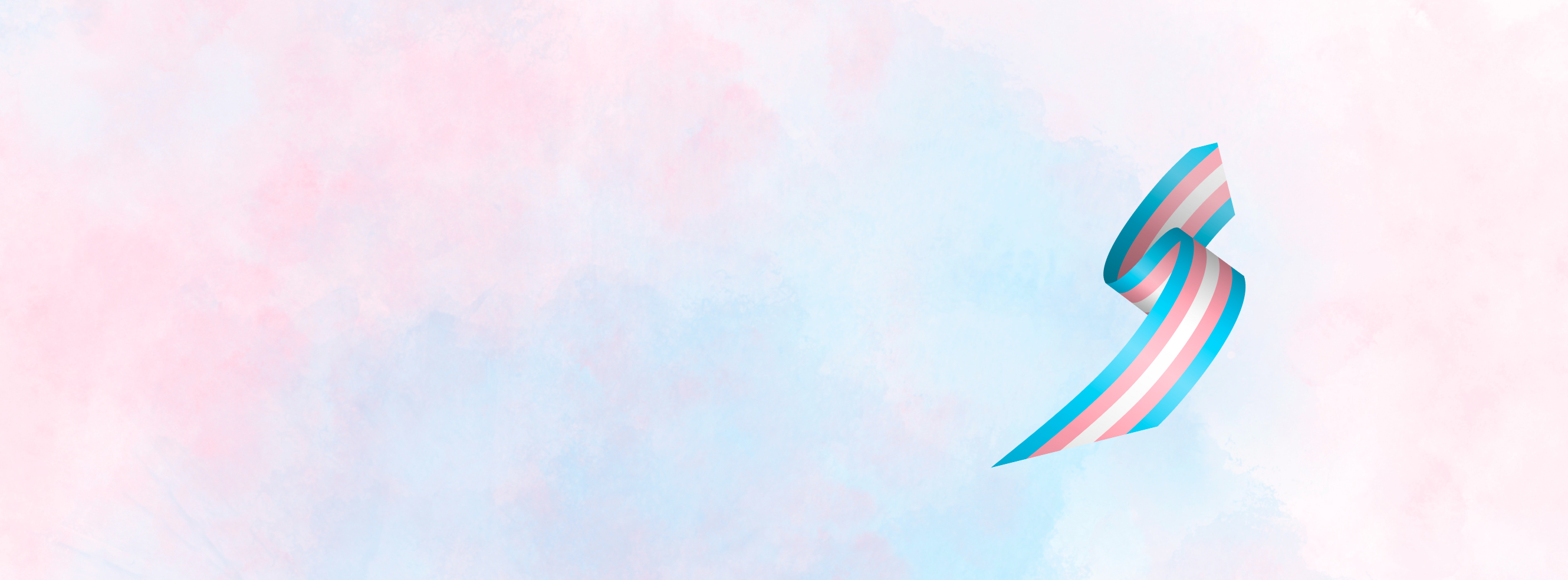 trans pride banner